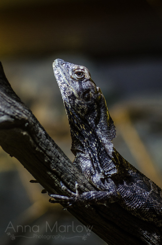 20140410-20140410-_DSC6000