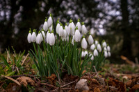 20150212-DSCF6076