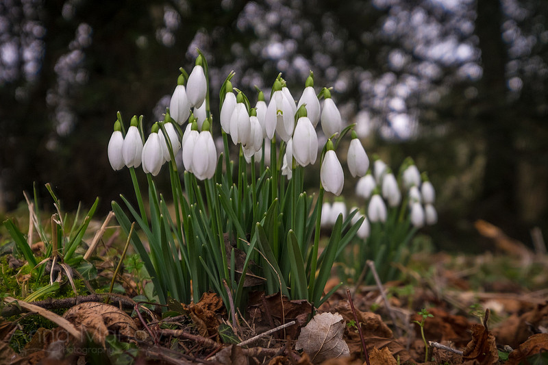 20150212-DSCF6076