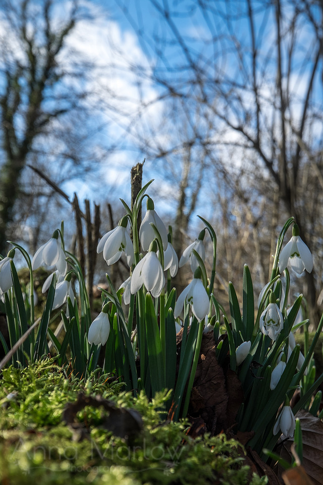 20150218-DSCF6382