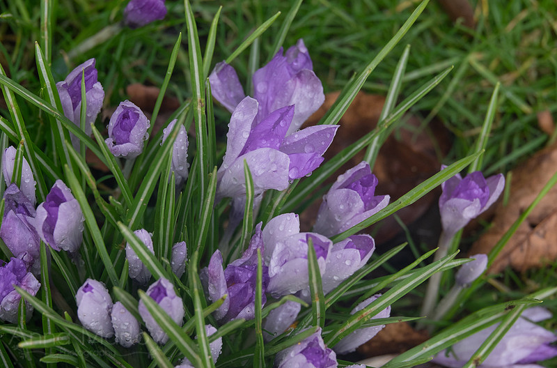 20150226-DSCF7092
