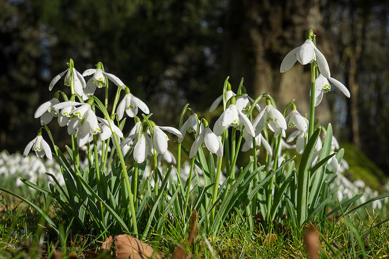 20150218-DSCF6352