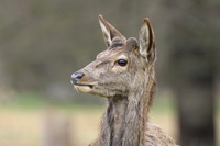 _DSC3974-Edit