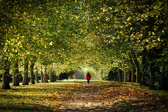 Passage of Autumn
