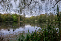 DSCF0326