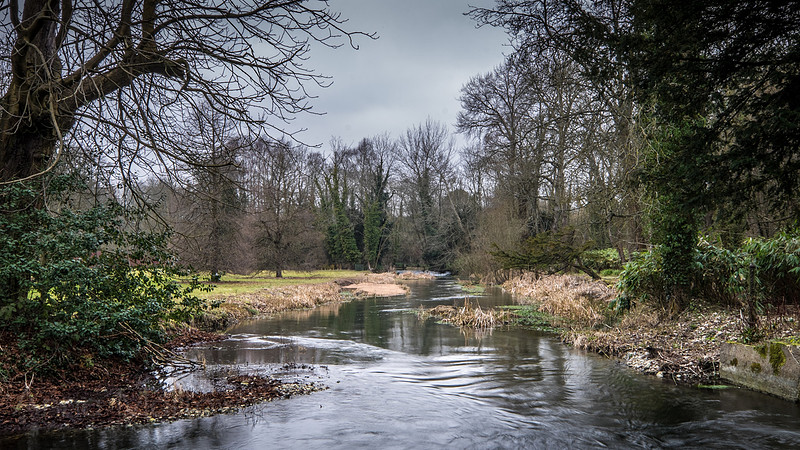 20150212-DSCF6052