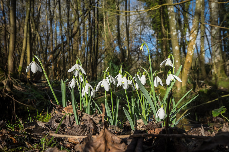 20150218-DSCF6356