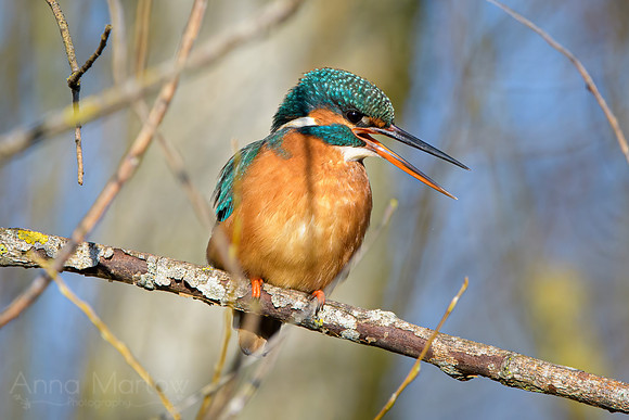 _DSC6318-Edit