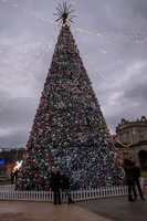 DSCF3376