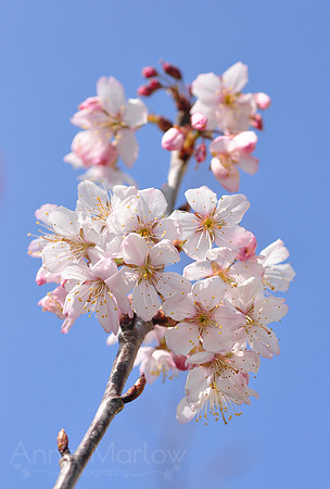Spring has sprung!