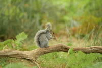 _DSC1655-Edit