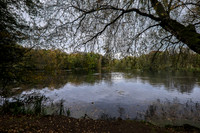 DSCF0323