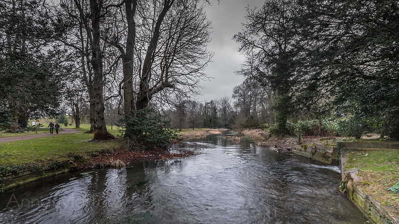 20150212-DSCF6047