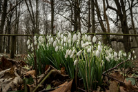 20150212-DSCF5983