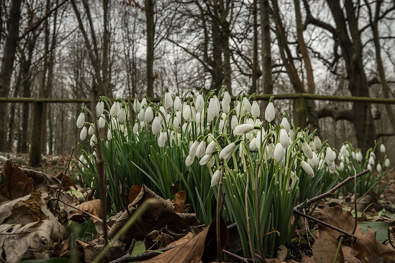 20150212-DSCF5983
