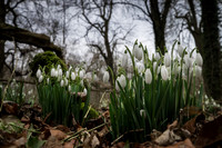20150212-DSCF5991