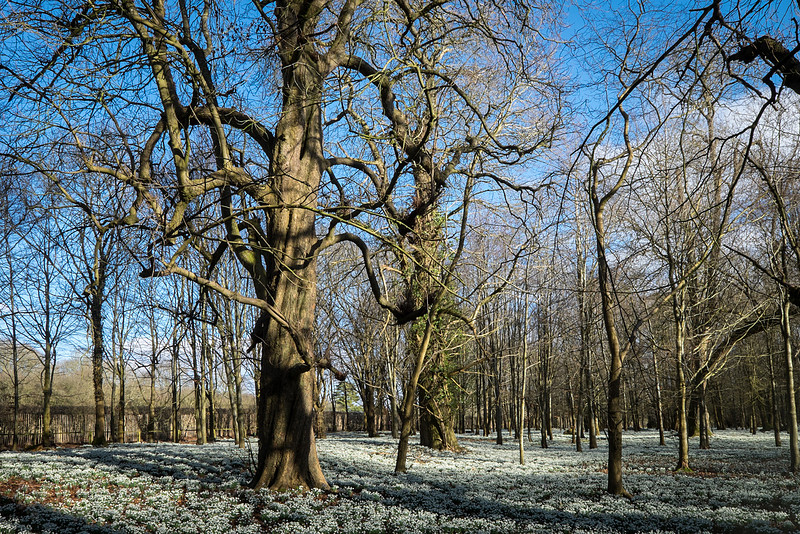 20150218-DSCF6376