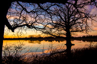 Stanford Floods