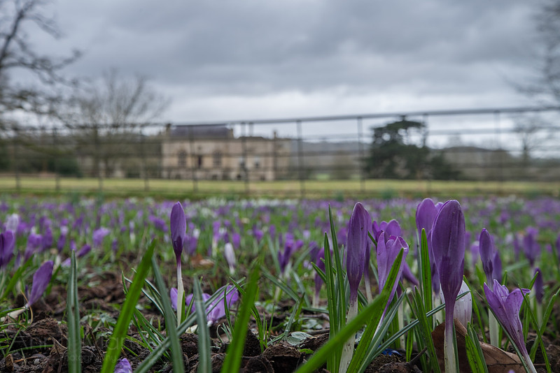 20150226-DSCF7123