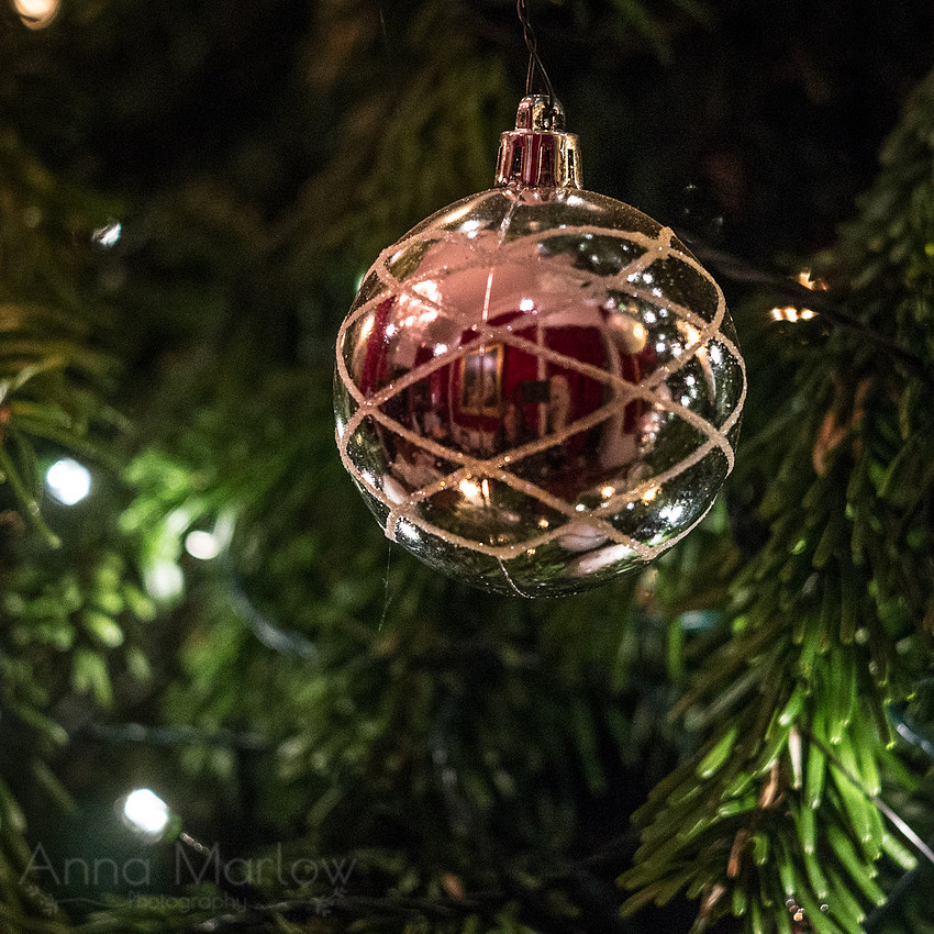 DSCF2697
