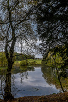 DSCF0357