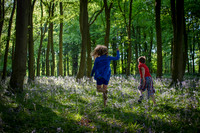Running wild...