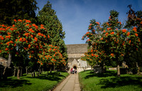 20131006-DSC_7081