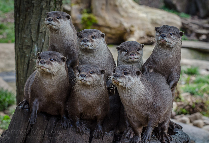 Posing!