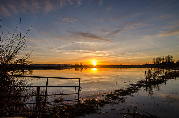 Flooded Fields