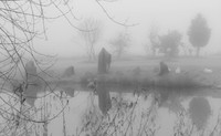 A misty morning in the Shire