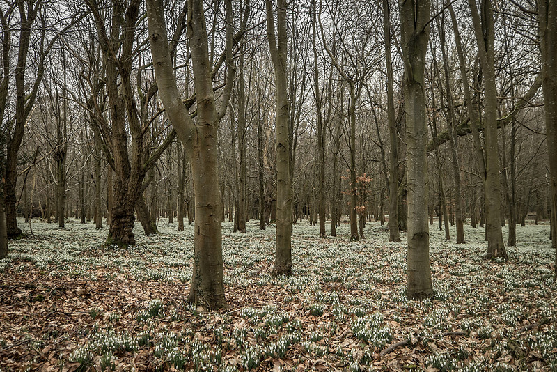 20150212-DSCF5975