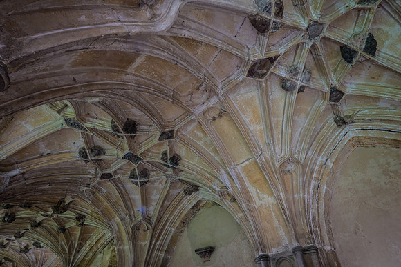20150226-DSCF6954