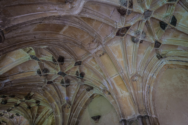 20150226-DSCF6954