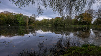 DSCF0347