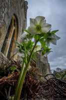 20150226-DSCF7011