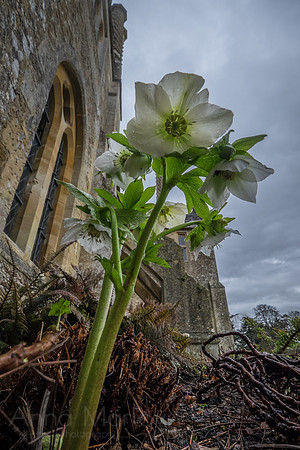 20150226-DSCF7011