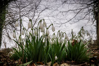20150212-DSCF5988