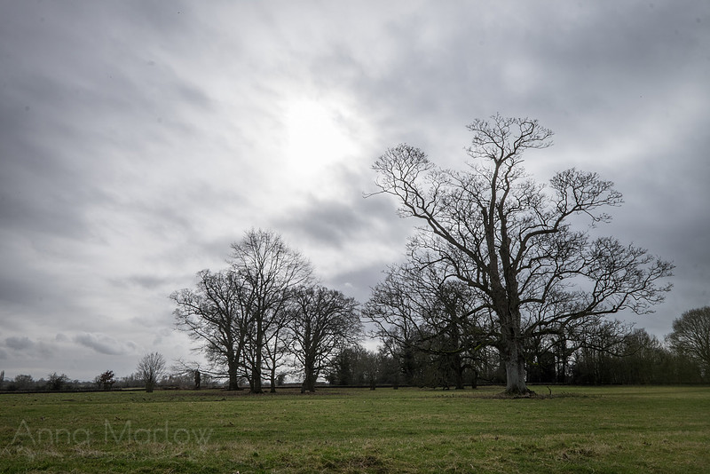 20150226-DSCF7058