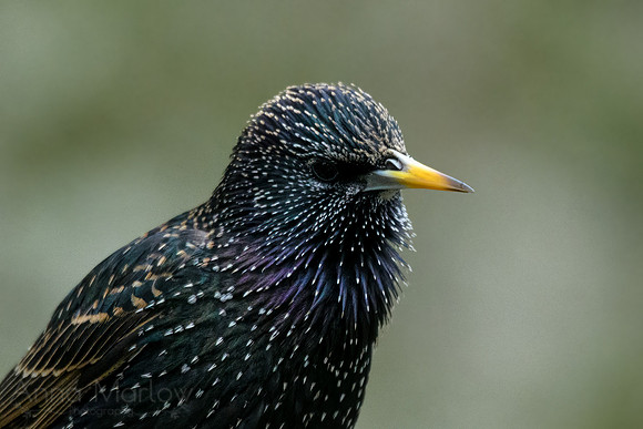 _DSC7670-Edit-2