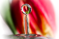 Splashing around!