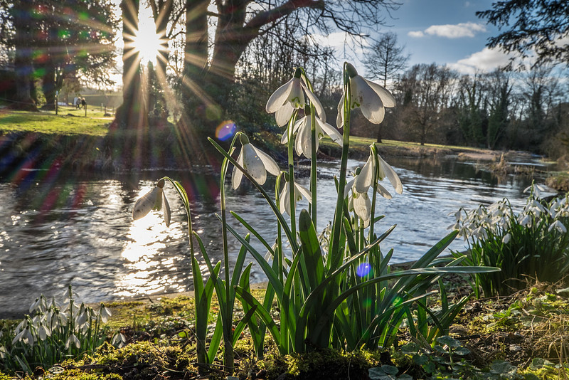 20150218-DSCF6479