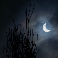 20150320-DSCF7225