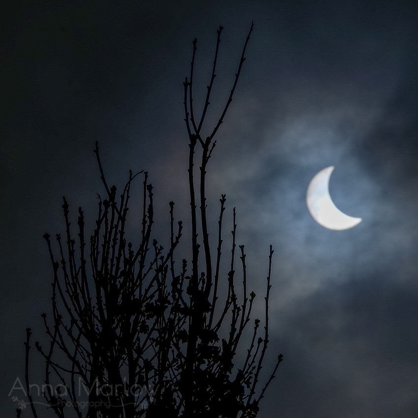 20150320-DSCF7225