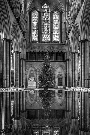 Salisbury Cathedral