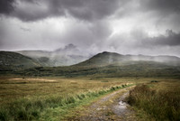 Moody Mull